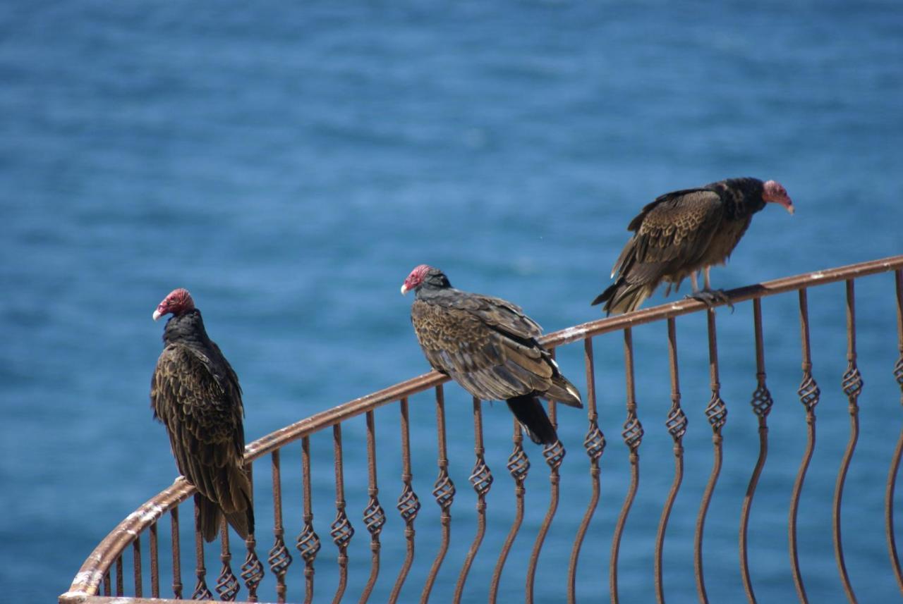 Casa Punta Vista Villa Cabo San Lucas Eksteriør bilde